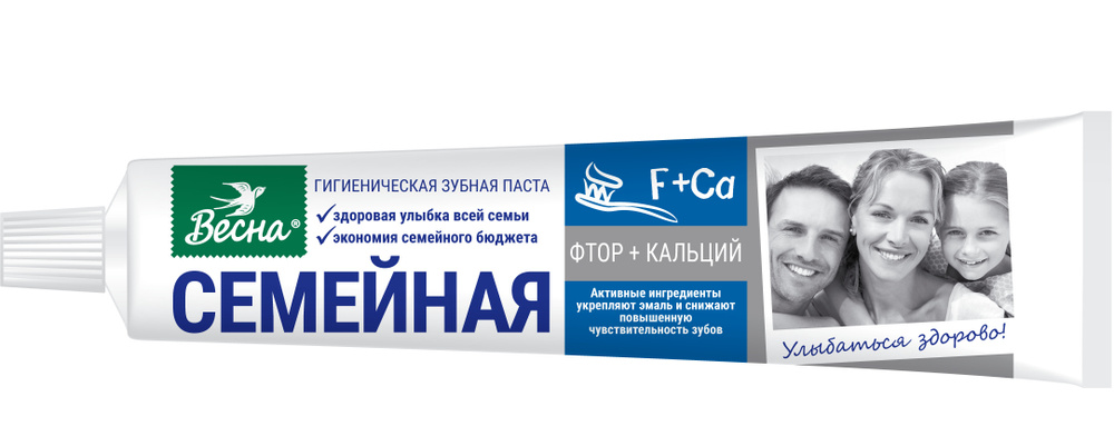 Зубная паста Весна Семейная 90 гр